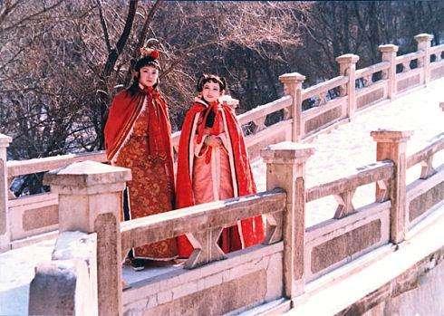 薛宝琴|大观园群芳争艳，为何还安排完美的宝琴出场，曹雪芹：宝琴是镜子