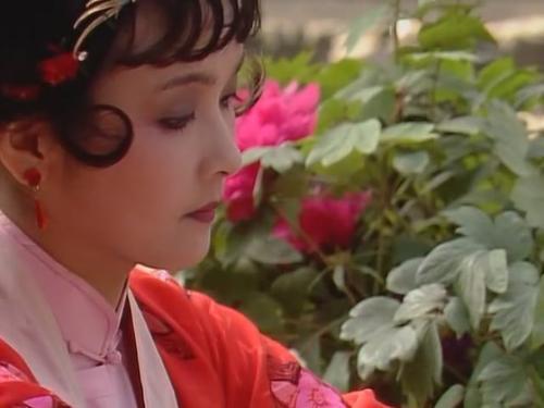 薛宝琴|大观园群芳争艳，为何还安排完美的宝琴出场，曹雪芹：宝琴是镜子