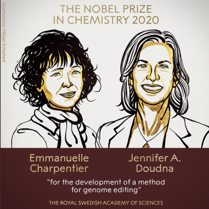 基因编辑技术|2020诺奖诞生最大悬疑：基因编辑技术获奖，张锋错失