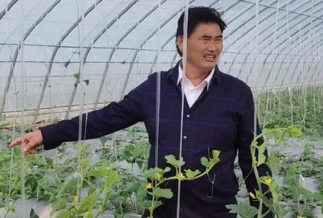 朱之文|大衣哥儿媳貌美又勤劳，新婚3天不去度蜜月，下地陪公婆学种菜