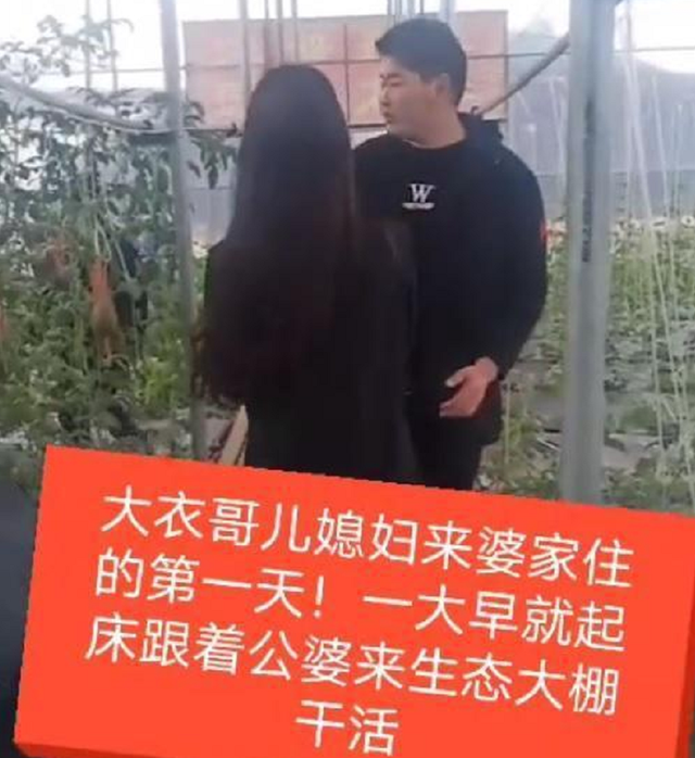 朱之文|大衣哥儿媳貌美又勤劳，新婚3天不去度蜜月，下地陪公婆学种菜