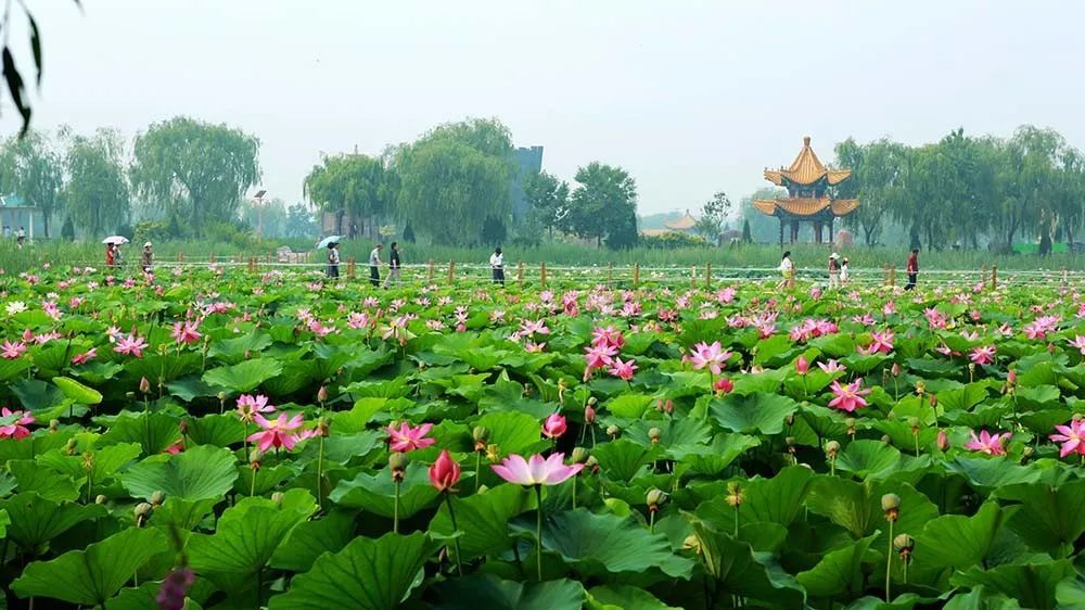 寿光十大旅游景点排行,一定有你想去的地方 - 邵东旅游景点大全排名