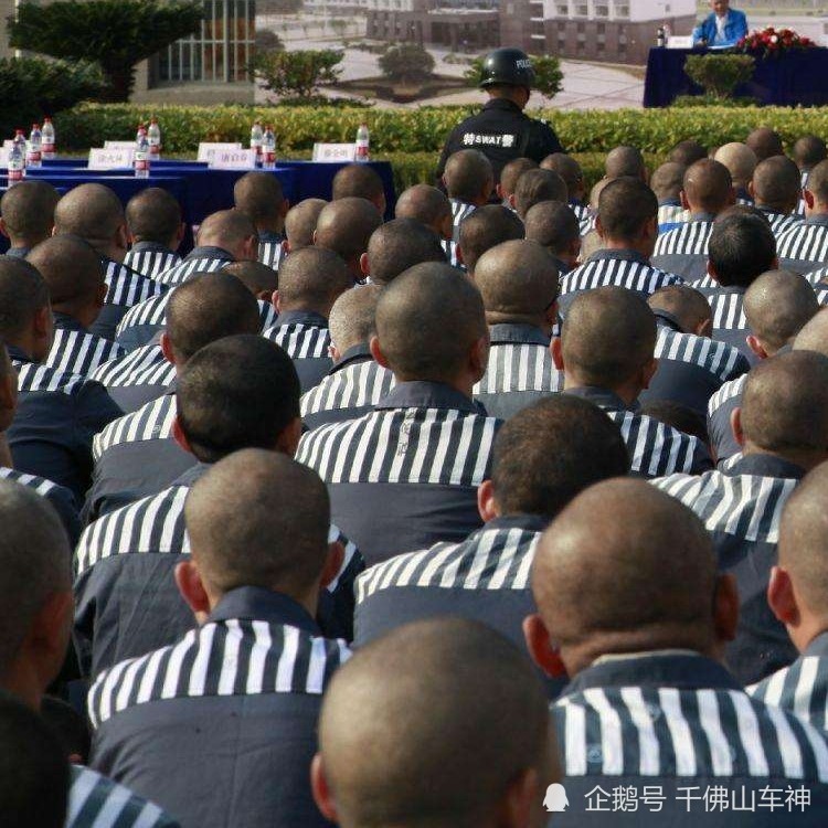 凤仙同款发型!监狱里面服刑人员为啥都要剃成光头?