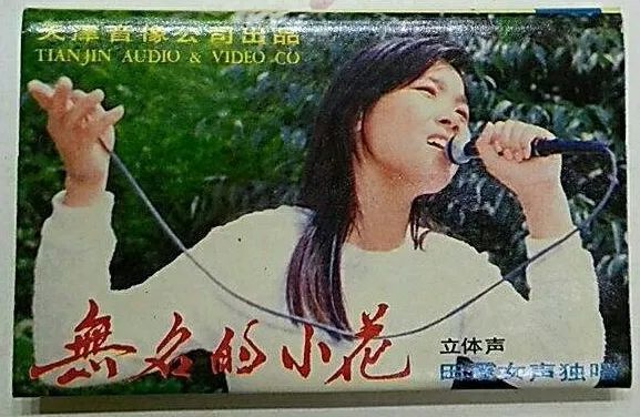 田震|因患血液病而退隐，男友病床前守护7年求婚数次，她如今怎样了？