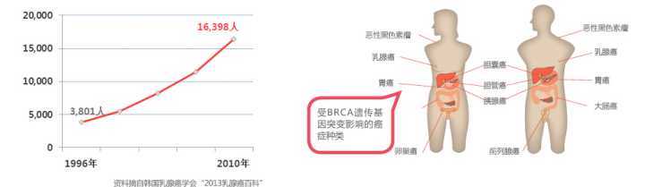 基因编辑|2020年诺贝尔化学奖：基因编辑