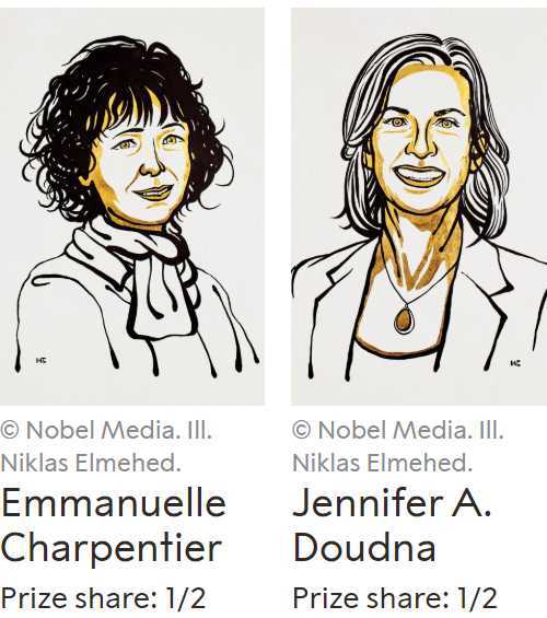 基因编辑|2020年诺贝尔化学奖：基因编辑
