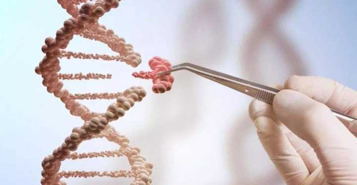 基因编辑|2020年诺贝尔化学奖：基因编辑