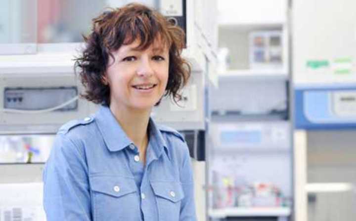 基因编辑|2020年诺贝尔化学奖：基因编辑