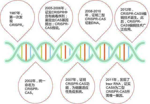 基因编辑|2020年诺贝尔化学奖：基因编辑
