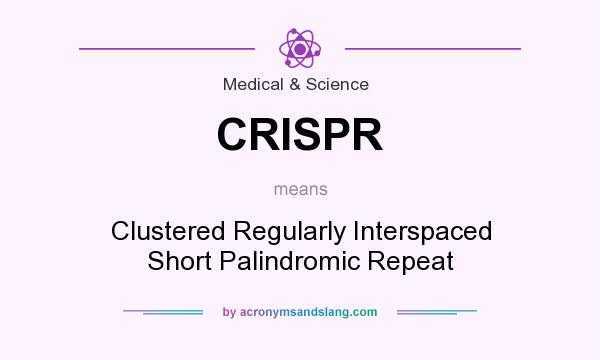 基因编辑|2020年诺贝尔化学奖：基因编辑