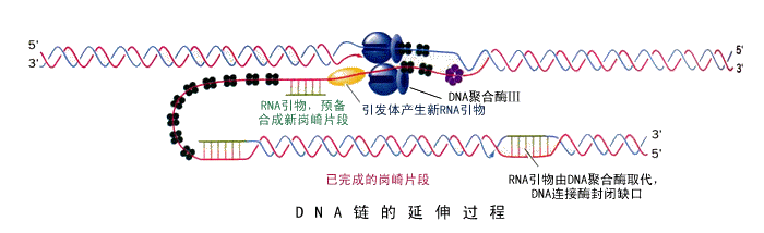 基因编辑|2020年诺贝尔化学奖：基因编辑