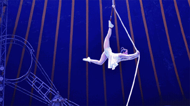 你确定要错过吗?|杂技表演|视觉盛宴|西峡