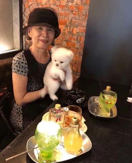 周杰伦|周杰伦妈妈：离婚后将儿子培养成天王巨星，想让侯佩岑做自己儿媳