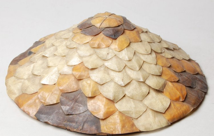 穿山甲|穿山甲：拿我熬药就算了，还要做盔甲？明代它是高级铠甲原材料