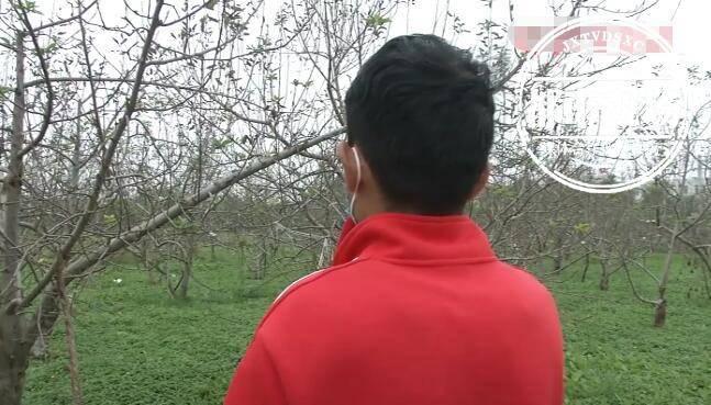 陕西|收到一条心动短信，陕西小伙上万元没了