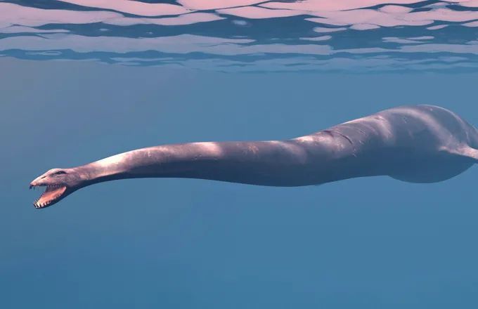 尼斯湖水怪|尼斯湖深处发现神秘物体，体长10米，专家：传奇生物最可信的证据！