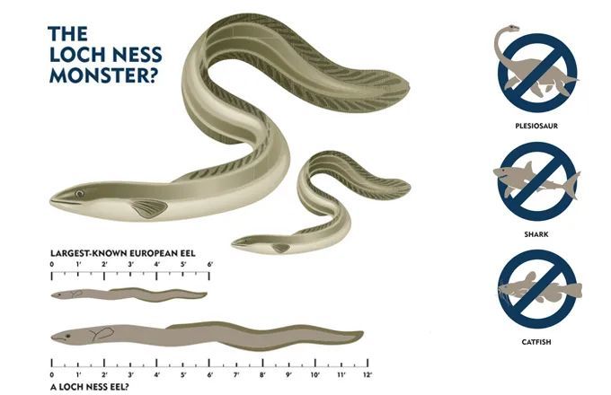 尼斯湖水怪|尼斯湖深处发现神秘物体，体长10米，专家：传奇生物最可信的证据！
