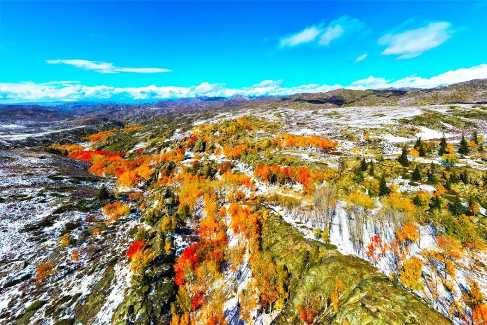 红叶沟位于新疆阿勒泰地区富蕴县库尔特乡附近的山沟内,距富蕴县60多