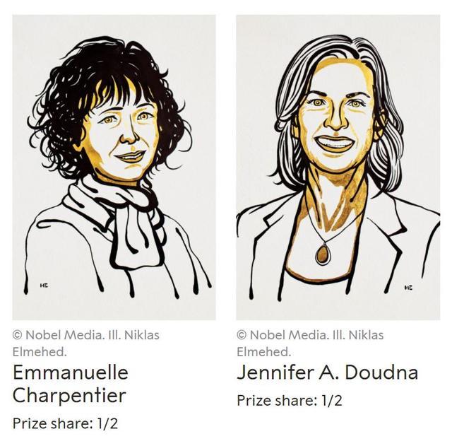 诺贝尔化学奖|诺贝尔化学奖颁给2位欧美女生物学家，基因魔剪有望攻克医学难题