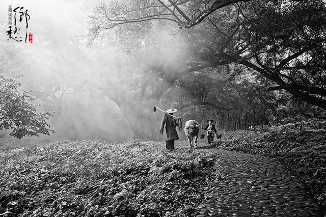 故乡|他用一首13字的现代诗获奖十万，诗虽短却写尽了乡愁，催人泪下