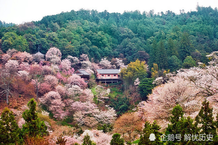 对联|贴在厕所的奇趣对联，只能意会不能言传，读个对联比上厕所还过瘾
