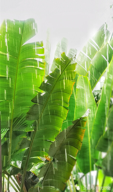 对联|贴在厕所的奇趣对联，只能意会不能言传，读个对联比上厕所还过瘾