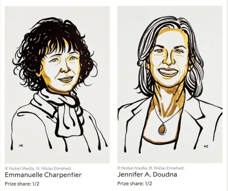 埃马纽尔·夏彭蒂耶|“基因剪刀，早两年拿诺奖也没问题”