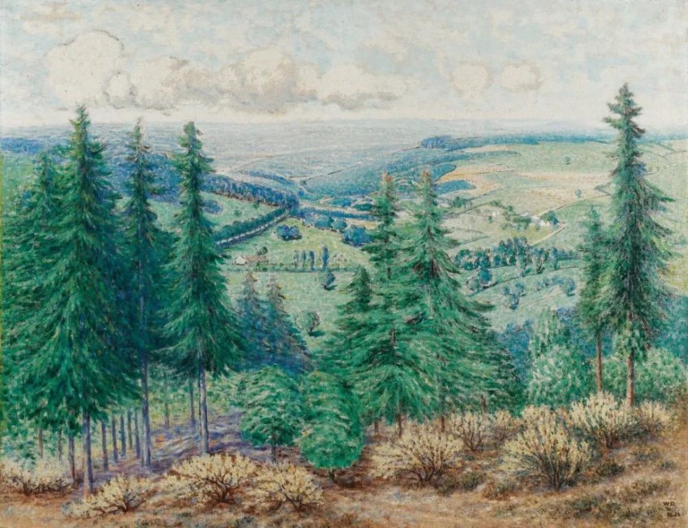 石头|落花在内心深处