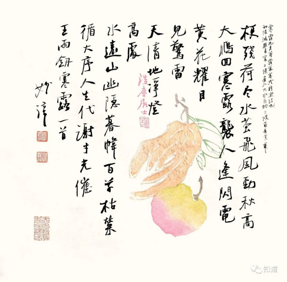 廿四节气|最美廿四节气——寒露！