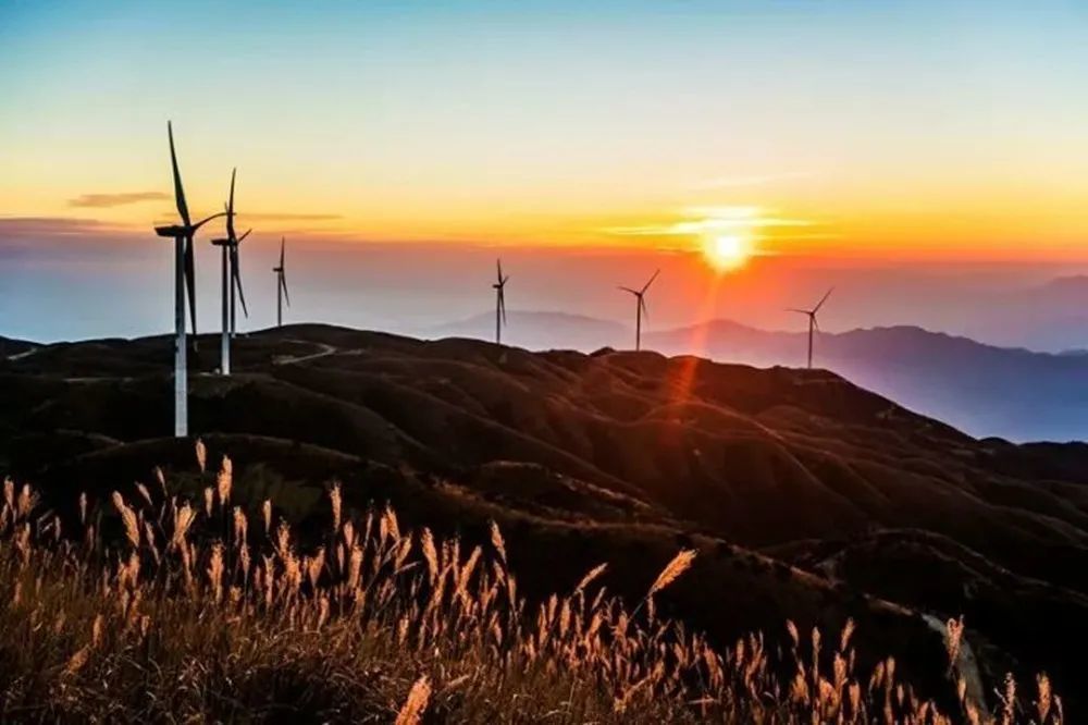 祖国到底是什么|杜淑芳朗诵《祖国到底是什么》