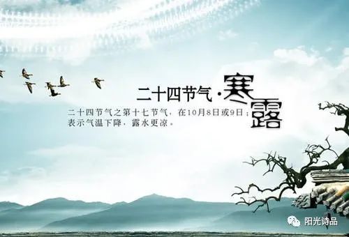 叶紫|似泪珠滴滴清冷【阳光诗品同题第295期】