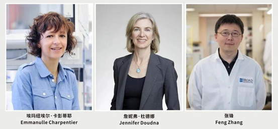 科学|2020诺贝尔化学奖公布：充满争议的基因编辑技术