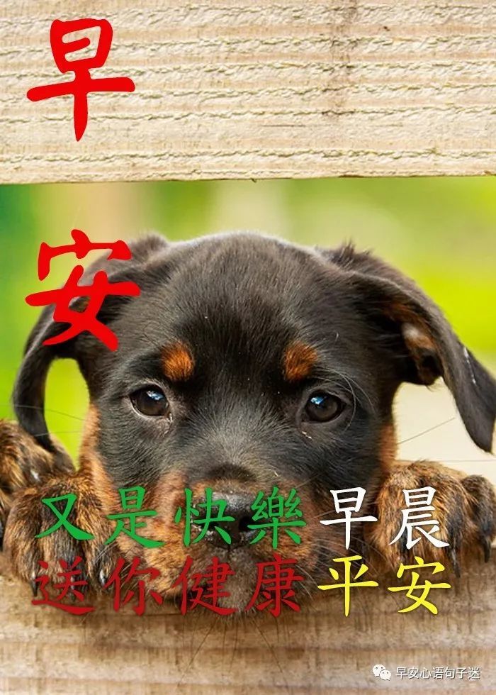 微信早安问候寄语 早安祝福语大全