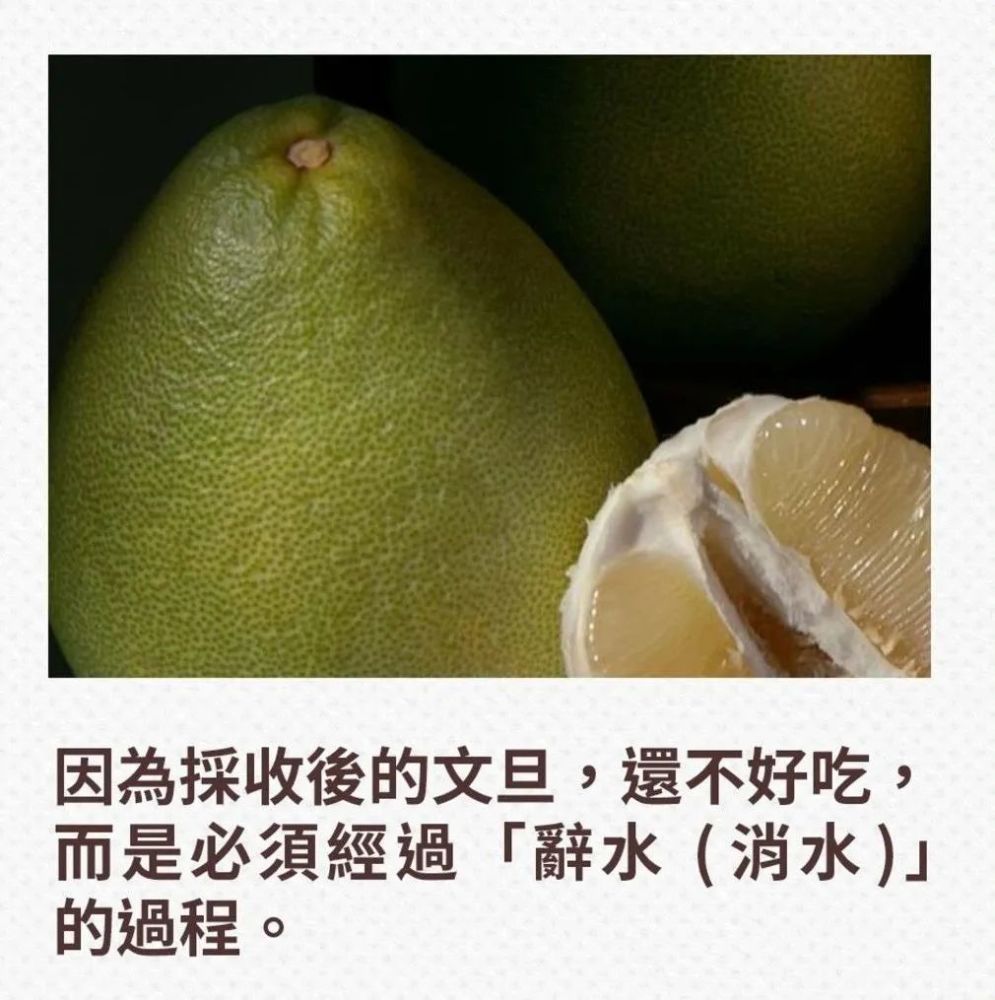 这款台湾文旦柚子有什么魅力?