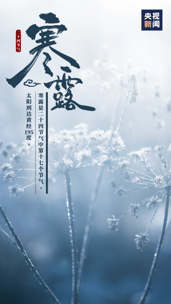 二十四节气|露已寒，将为霜