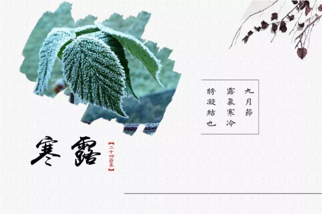 有一种思念叫做"望穿秋水,有一种寒冷叫做"忘穿秋裤.