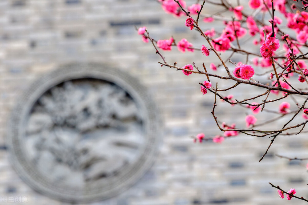 寒露|今日寒露，老话“寒露无雨，百日无霜”是何含义？暖冬还是寒冬