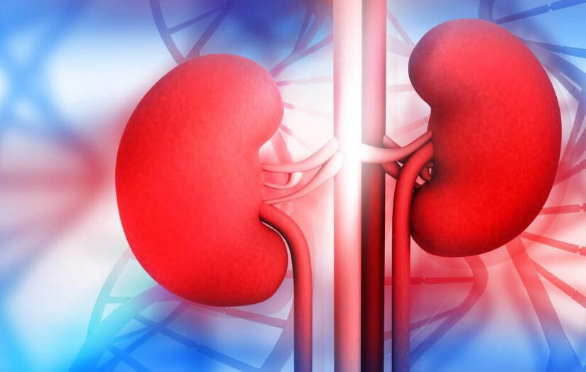 肾病|肾病注意1点，能让肾衰竭风险明显下降，做了就有益