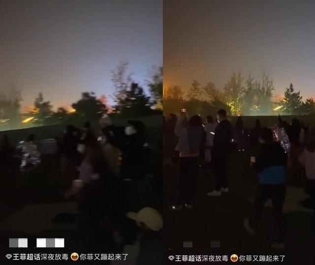 王菲|王菲音乐节疯玩丢手机，搂男粉贴脸合影，不怕谢霆锋吃醋？