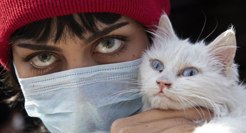 生物学家|生物学家给出最易感染COVID-19的动物