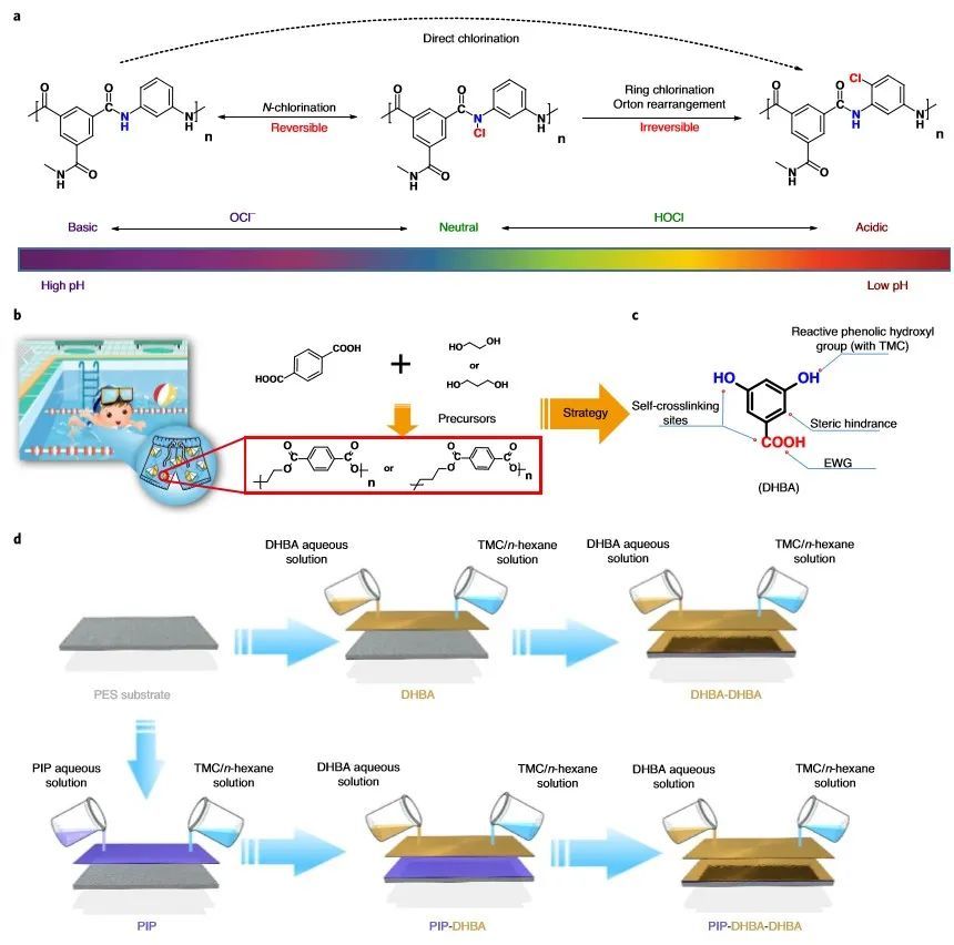 nature|水中有氯也不怕！南理工《Nature》子刊：高性能耐氯反渗透淡化膜！