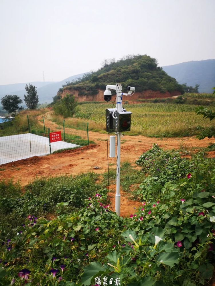 田地|田地里有“神器”！阳泉农民种地走出科技范儿……