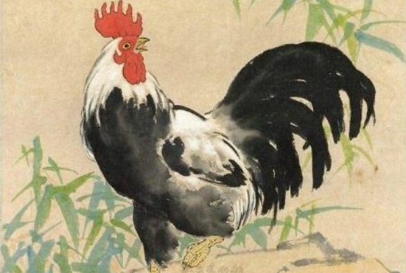 揭秘1981年酉鸡一生宿命:39岁后是福是祸?家里有属鸡的速看