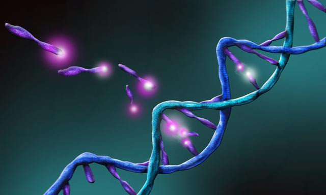 切尔诺贝利核电站|切尔诺贝利“变异生物”向外迁移，会对地球生态造成怎样的影响？