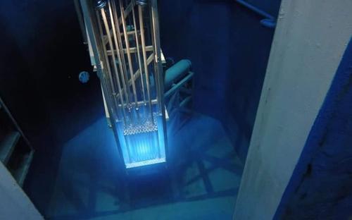 切尔诺贝利核电站|切尔诺贝利“变异生物”向外迁移，会对地球生态造成怎样的影响？