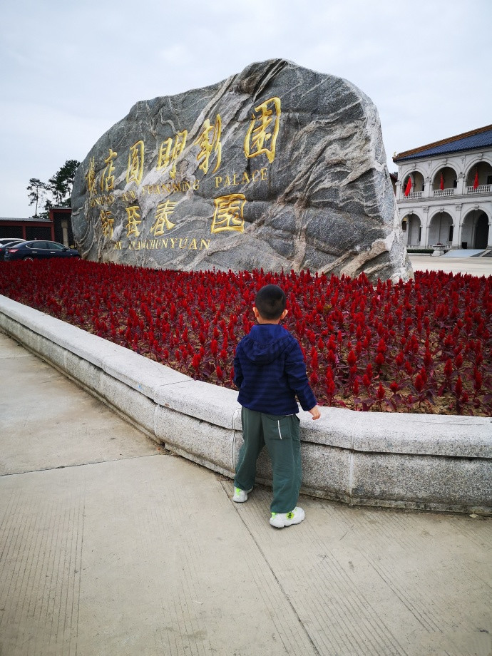 佟丽娅|乌龙！佟丽娅回应与神秘男“手牵手”：想抢单被老板硬给推出来了