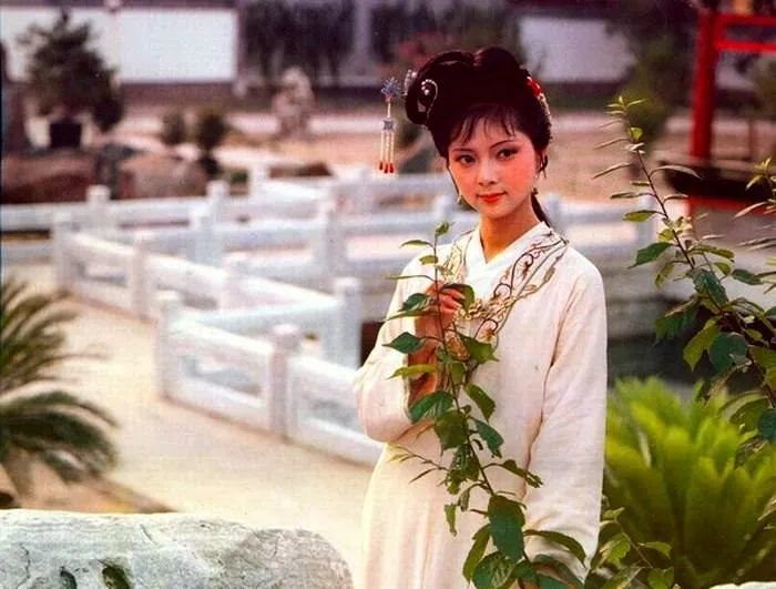 红楼梦|《红楼梦》最经典的9首诗词，读懂了才是人生