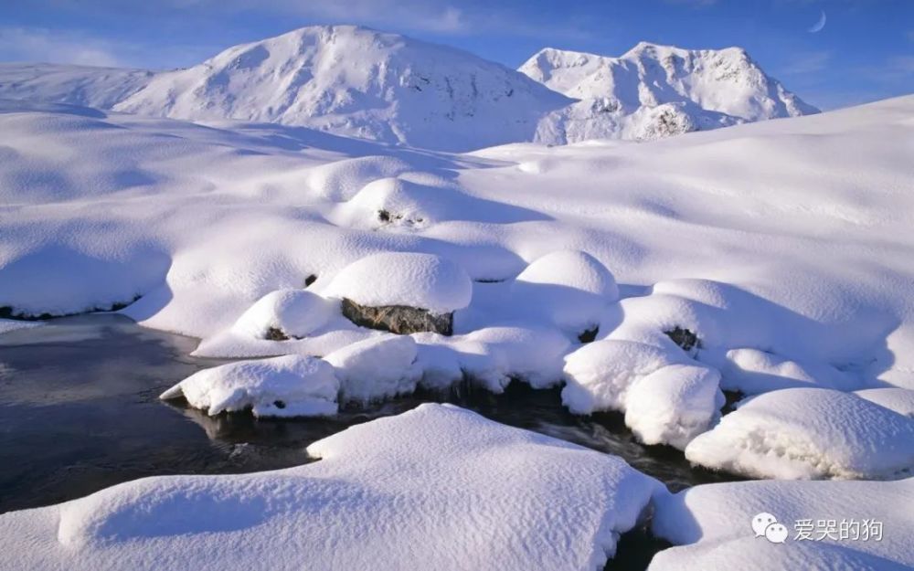 竹子|夜里下了一场很大的雪，白居易根本没有看到雪，却写下一首咏雪诗