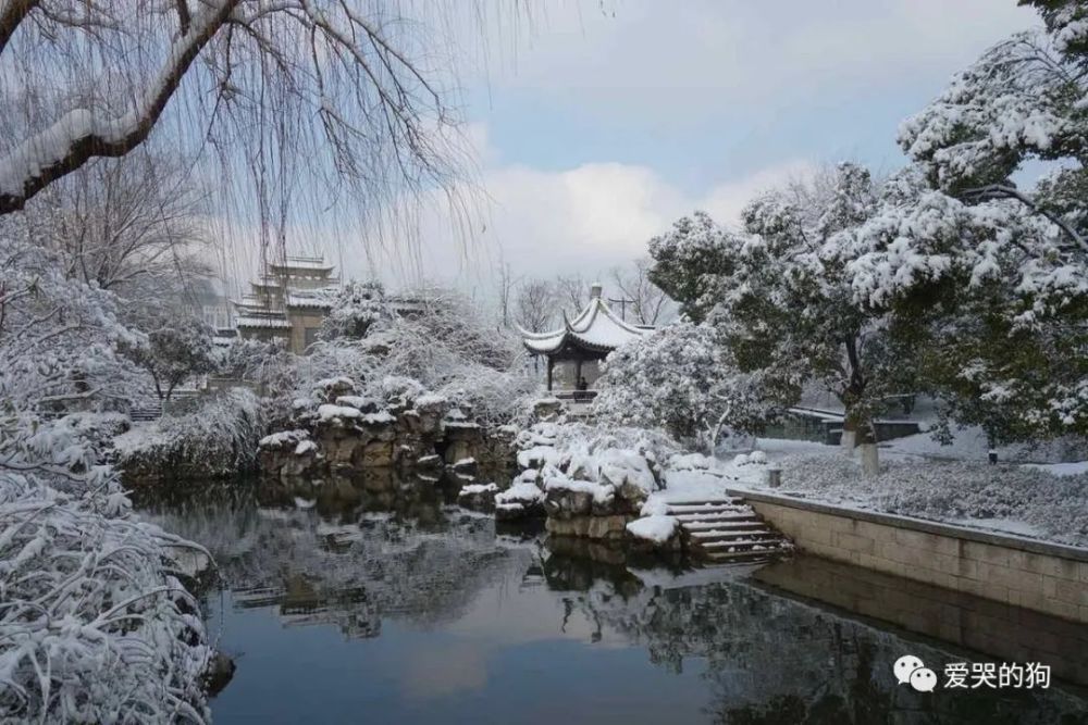 竹子|夜里下了一场很大的雪，白居易根本没有看到雪，却写下一首咏雪诗