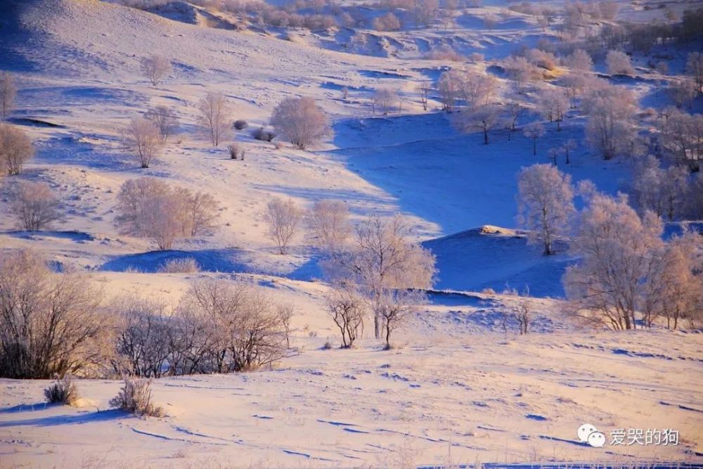 白居易|白居易这首五绝《夜雪》，从另一个角度描写雪景，可谓是推陈出新